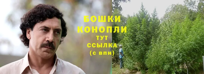 OMG как войти  Сарапул  Каннабис SATIVA & INDICA 